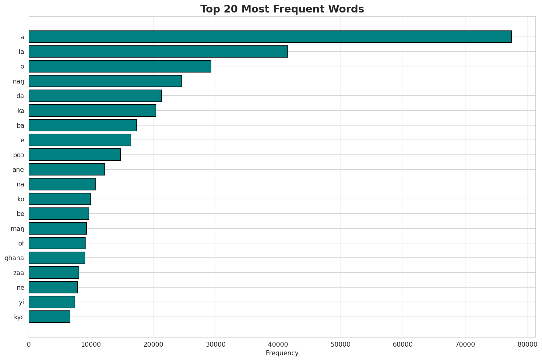 Top Words